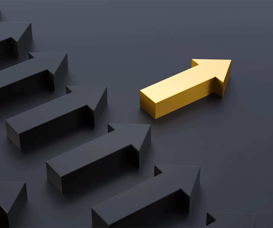 Leadership Coaching services tailored for CEOs, CFOs, COOs, CHROs, and other senior leaders